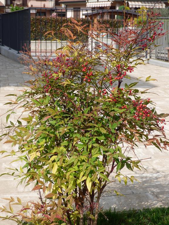 Giravento Acomodação com café da manhã Borgo San Dalmazzo Exterior foto